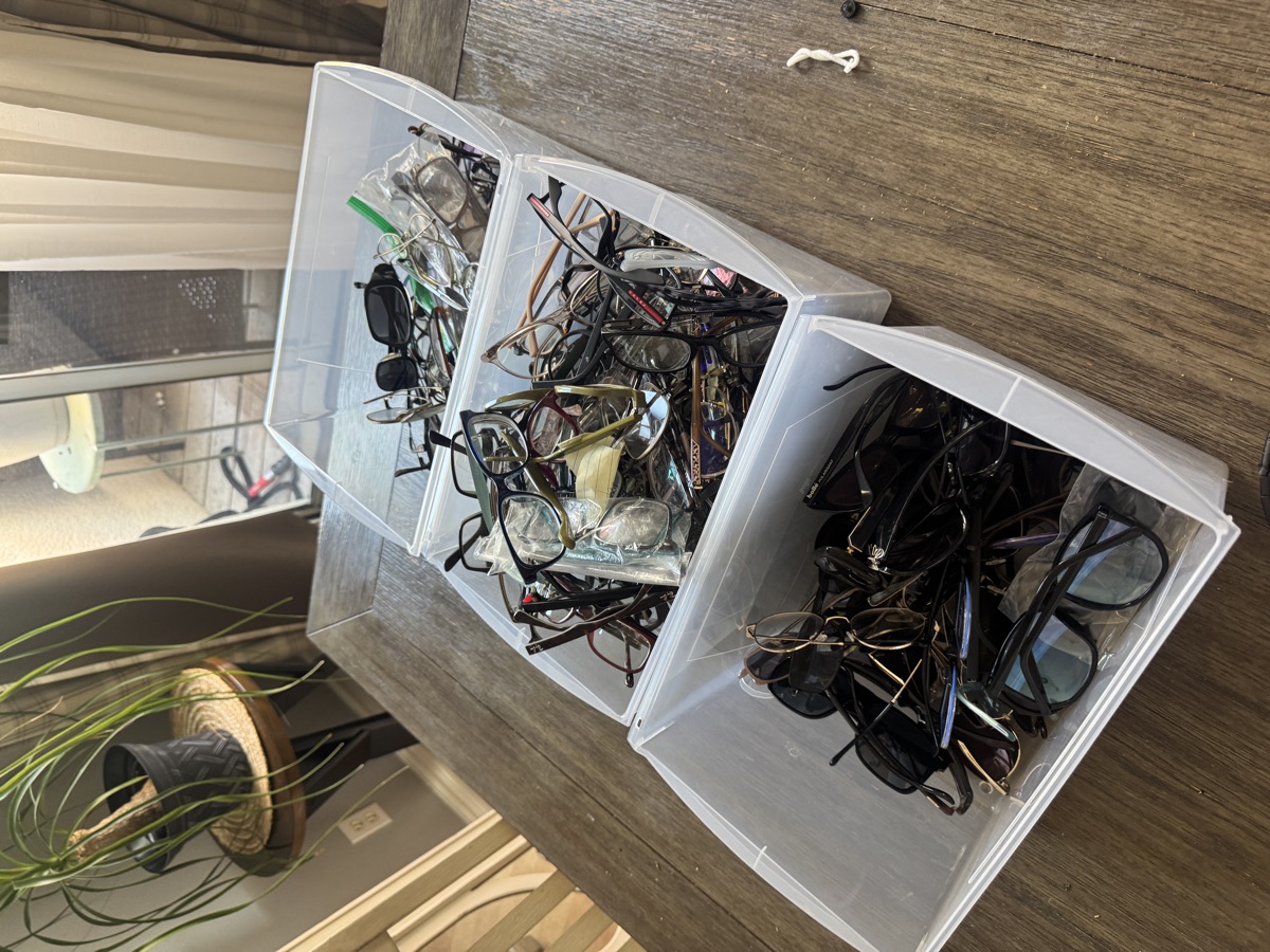 Collected eyeglasses organized for sorting